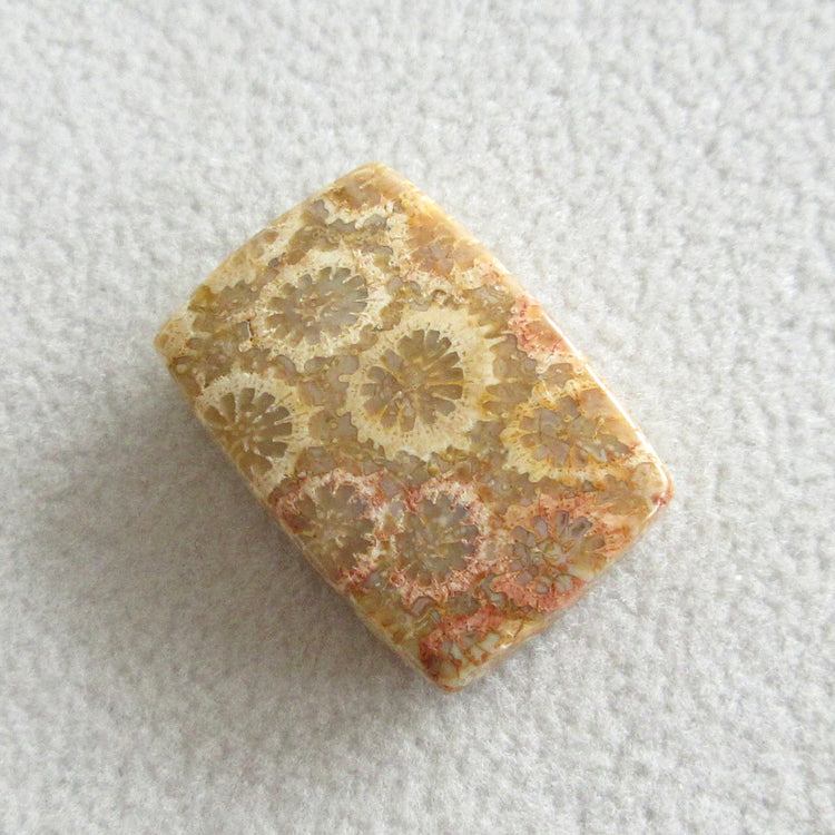 フォッシルコーラル 天然石ルースペア