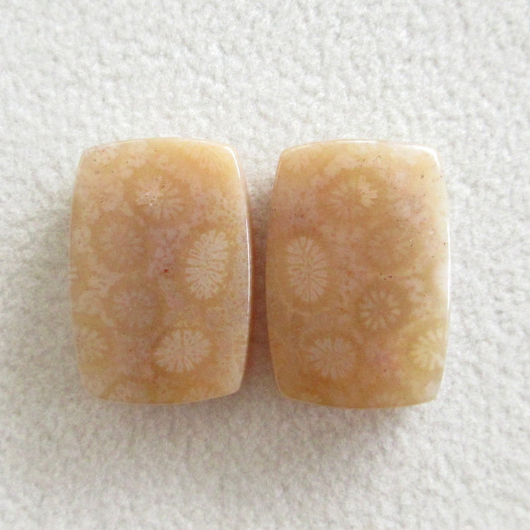 フォッシルコーラル 天然石ルースペア