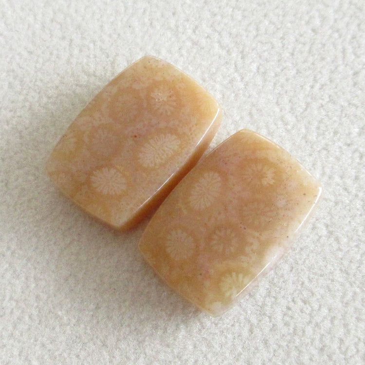 フォッシルコーラル 天然石ルースペア