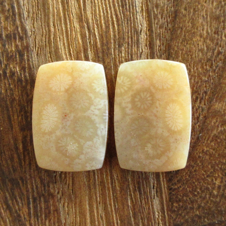 フォッシルコーラル 天然石ルースペア