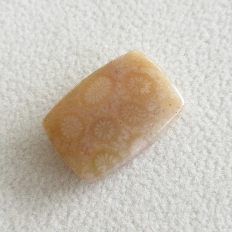 フォッシルコーラル 天然石ルースペア