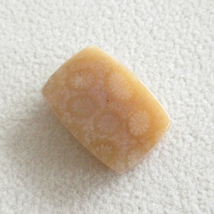 フォッシルコーラル 天然石ルースペア