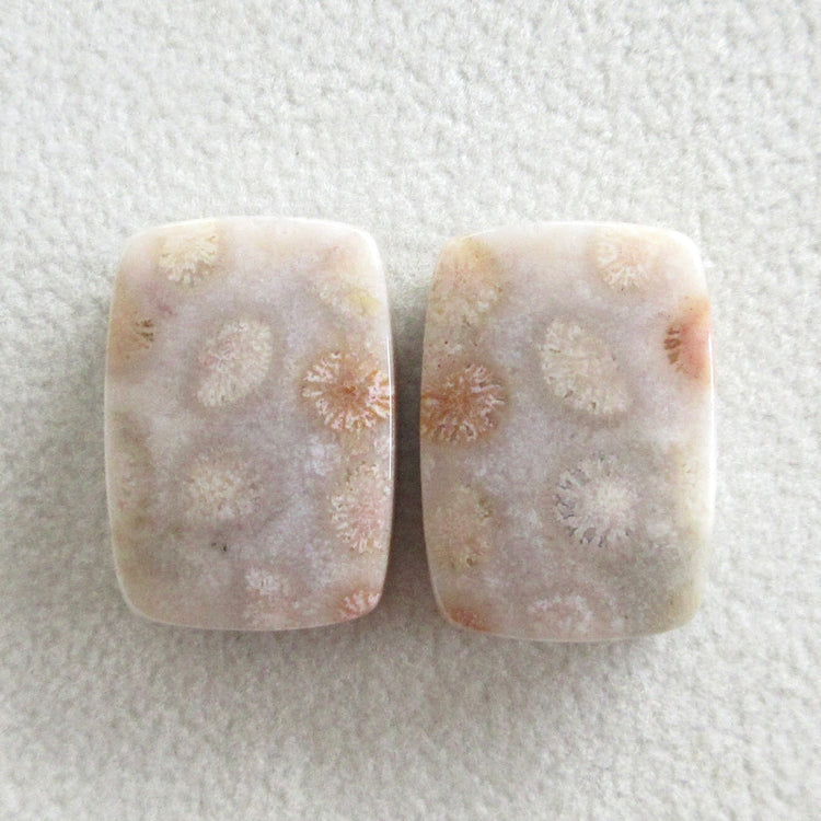 フォッシルコーラル 天然石ルースペア