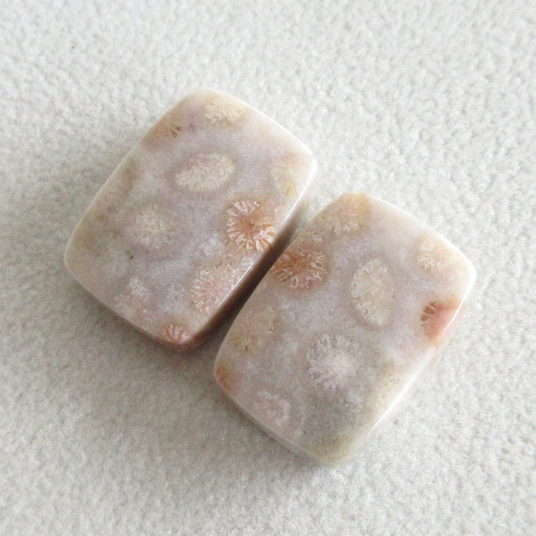 フォッシルコーラル 天然石ルースペア