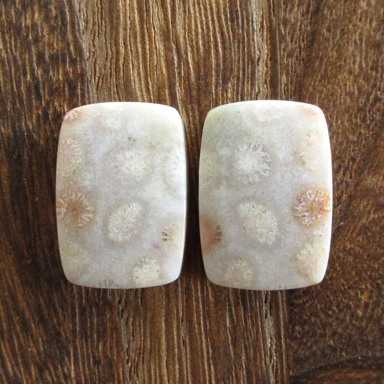 フォッシルコーラル 天然石ルースペア
