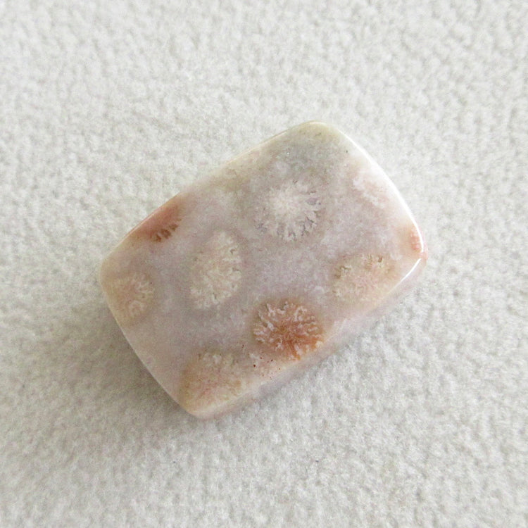 フォッシルコーラル 天然石ルースペア