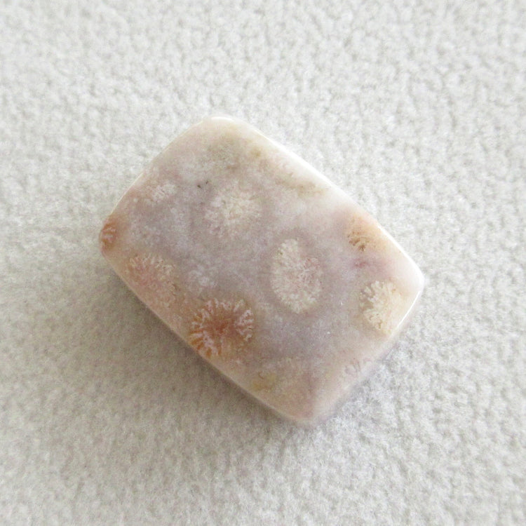 フォッシルコーラル 天然石ルースペア