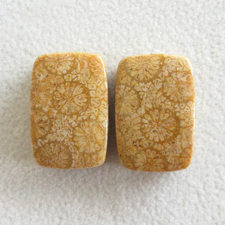 フォッシルコーラル 天然石ルースペア