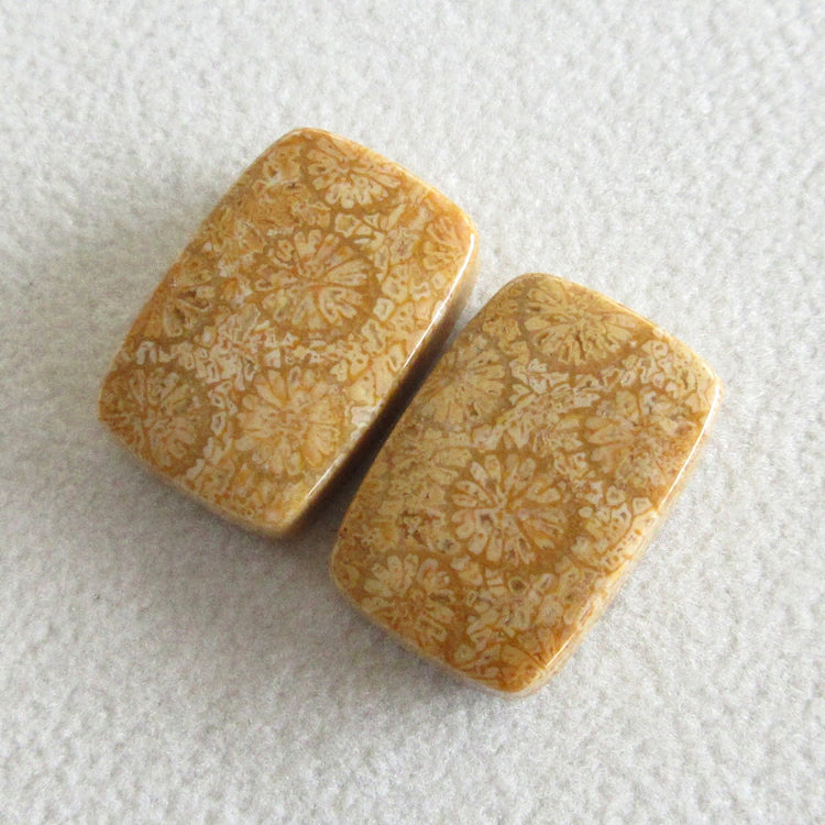 フォッシルコーラル 天然石ルースペア