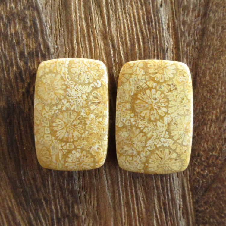 フォッシルコーラル 天然石ルースペア