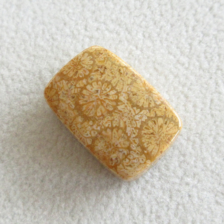 フォッシルコーラル 天然石ルースペア