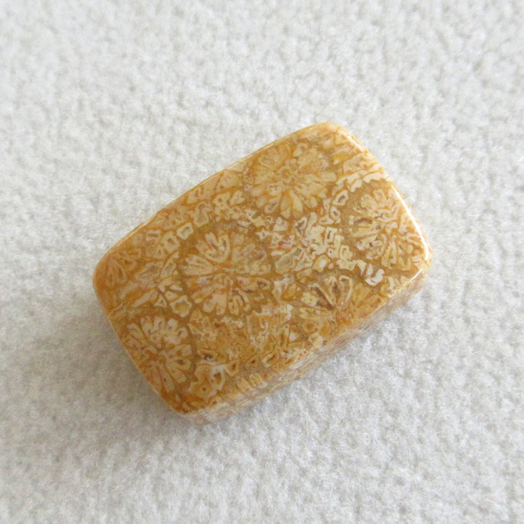 フォッシルコーラル 天然石ルースペア