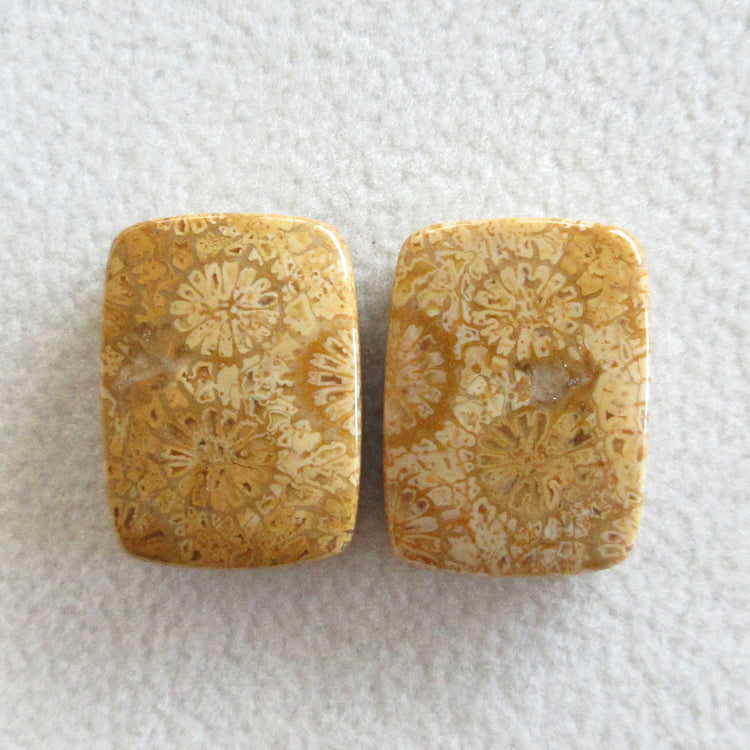 フォッシルコーラル 天然石ルースペア