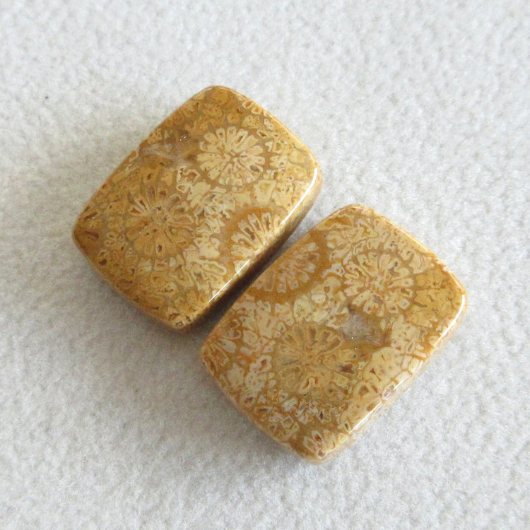 フォッシルコーラル 天然石ルースペア