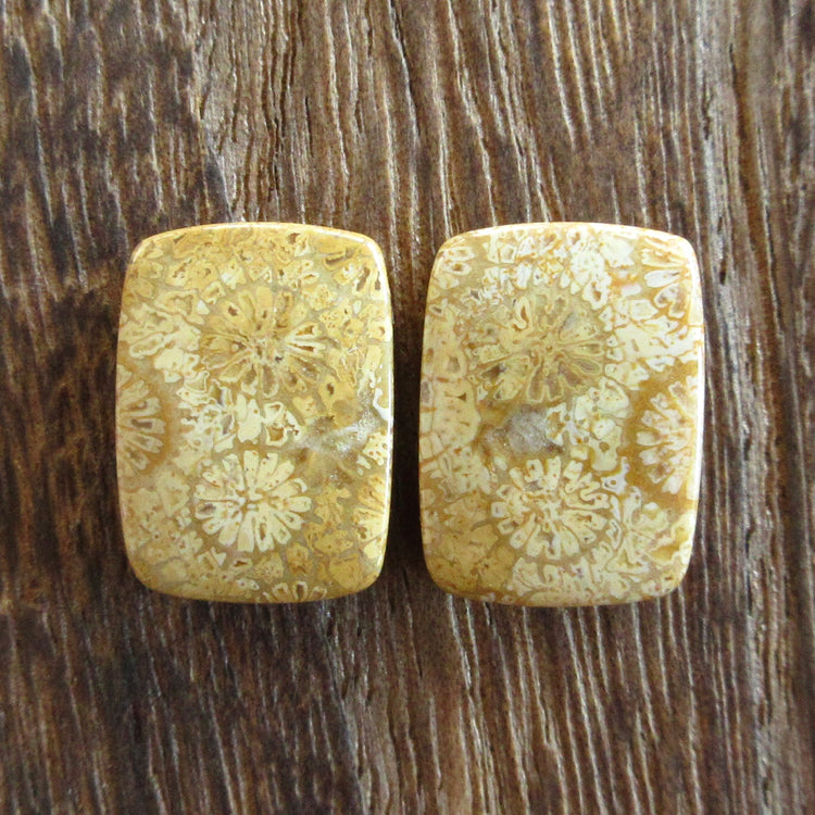 フォッシルコーラル 天然石ルースペア