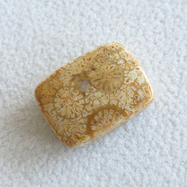 フォッシルコーラル 天然石ルースペア