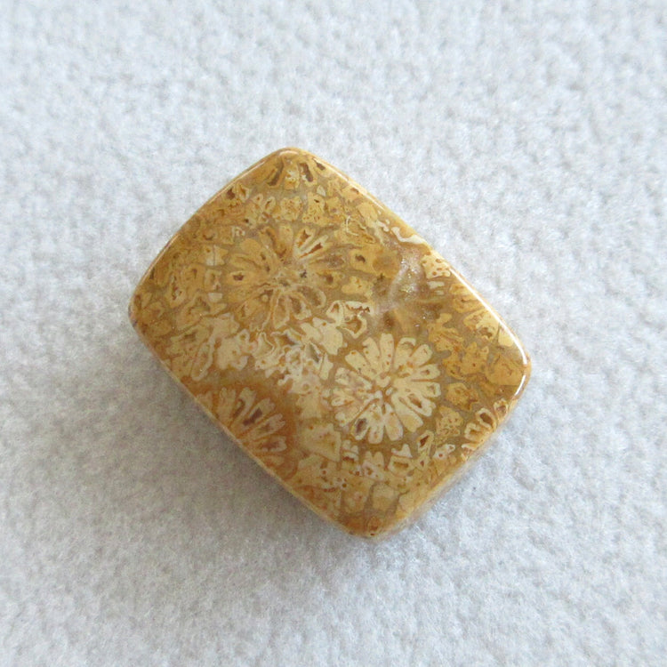 フォッシルコーラル 天然石ルースペア