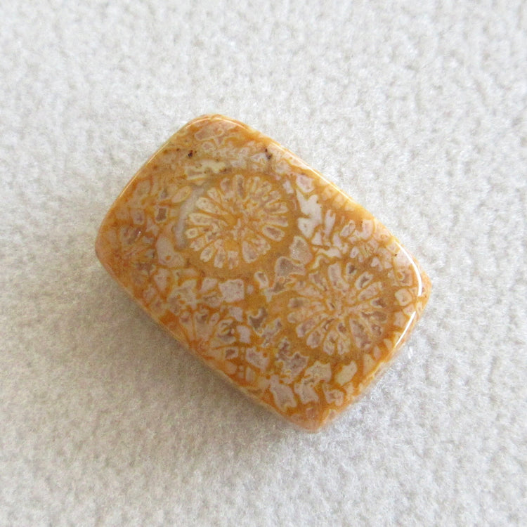 フォッシルコーラル 天然石ルースペア