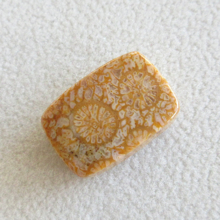 フォッシルコーラル 天然石ルースペア