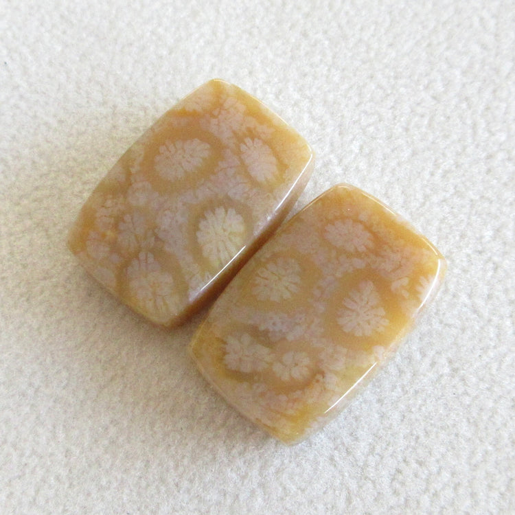 フォッシルコーラル 天然石ルースペア