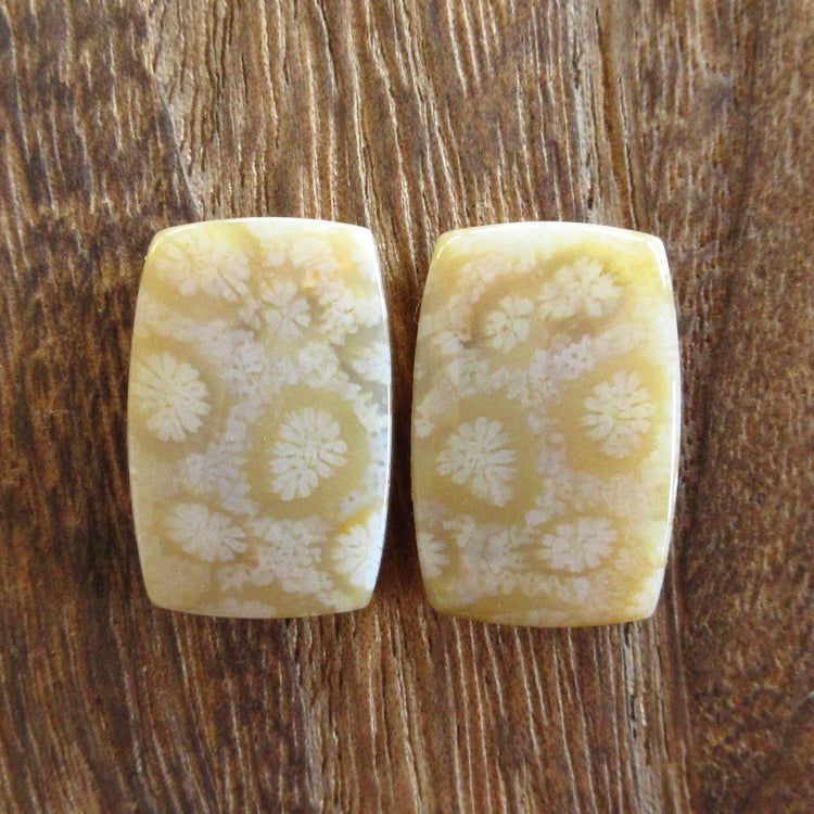 フォッシルコーラル 天然石ルースペア