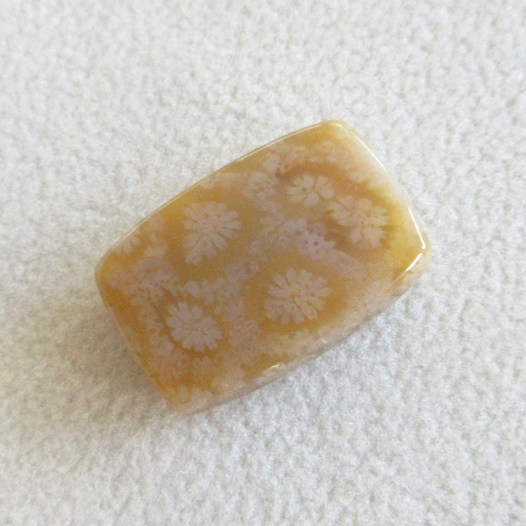 フォッシルコーラル 天然石ルースペア