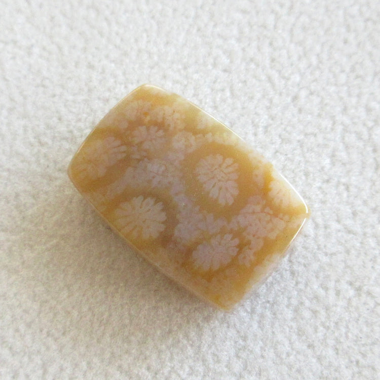 フォッシルコーラル 天然石ルースペア