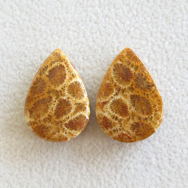 フォッシルコーラル 天然石ルースペア