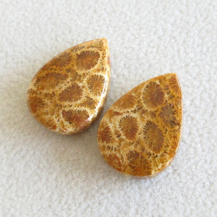 フォッシルコーラル 天然石ルースペア