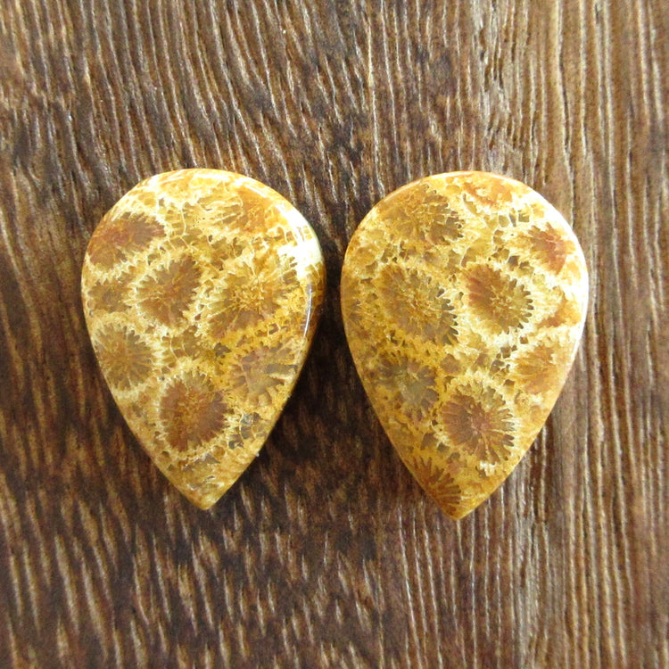 フォッシルコーラル 天然石ルースペア