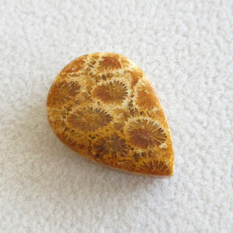 フォッシルコーラル 天然石ルースペア