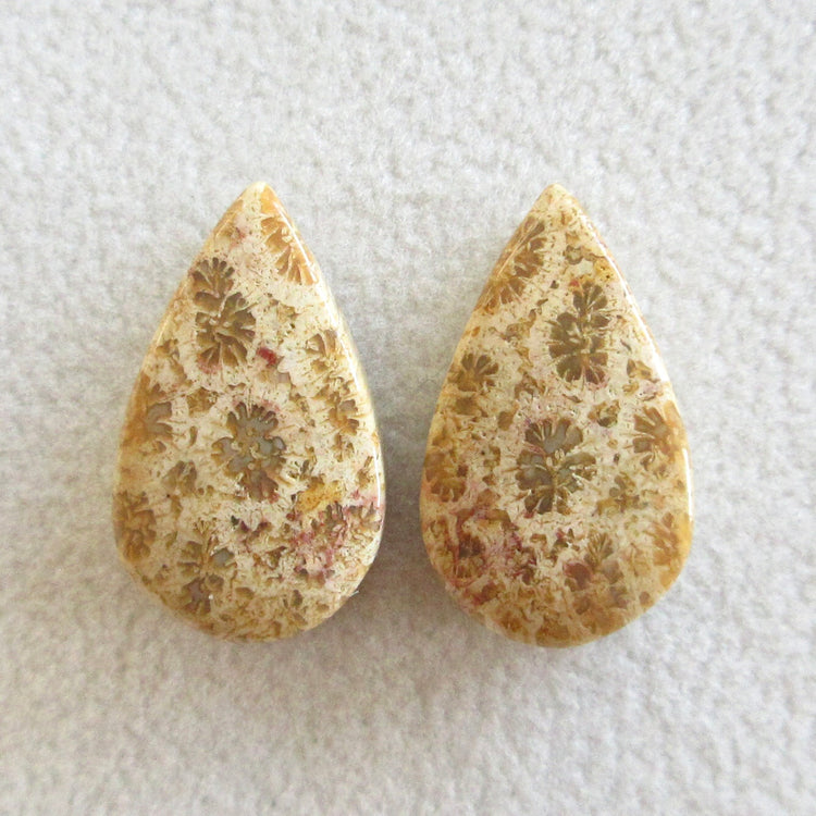 フォッシルコーラル 天然石ルースペア