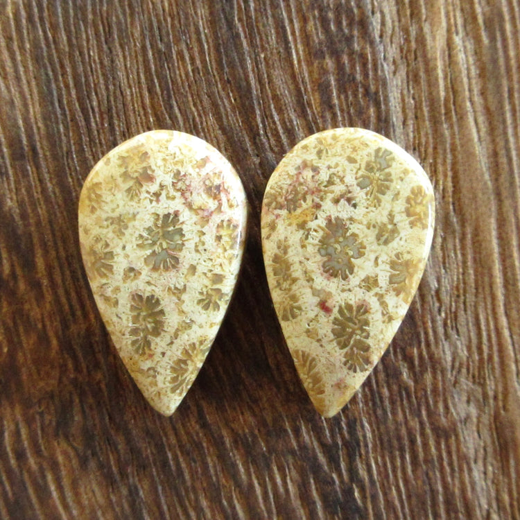 フォッシルコーラル 天然石ルースペア