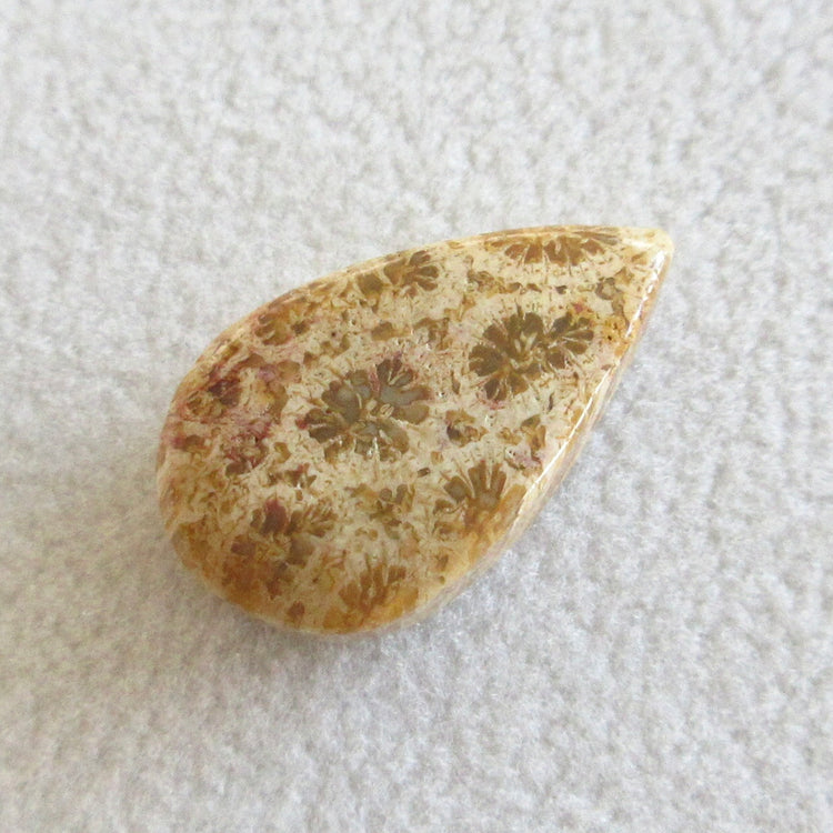 フォッシルコーラル 天然石ルースペア