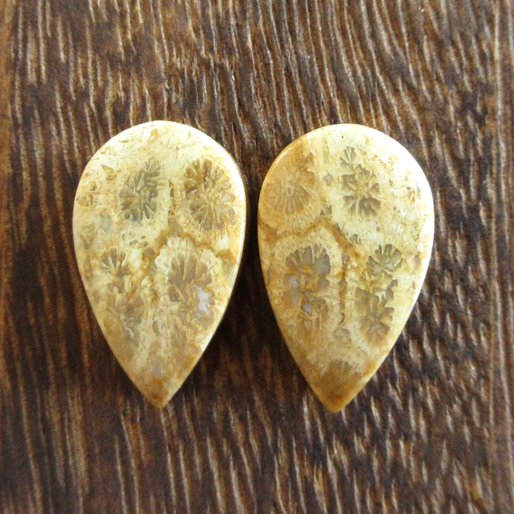 フォッシルコーラル 天然石ルースペア