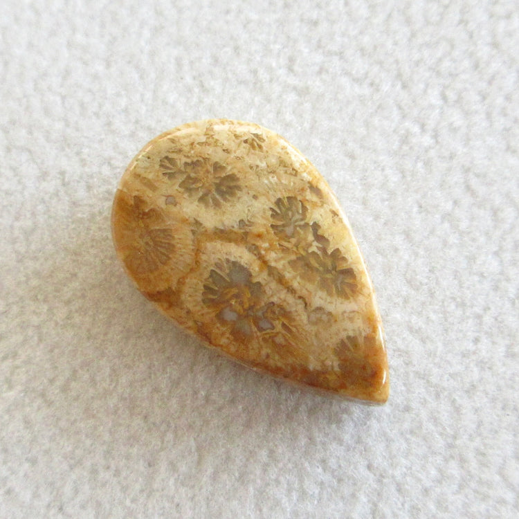 フォッシルコーラル 天然石ルースペア