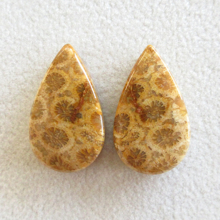 フォッシルコーラル 天然石ルースペア