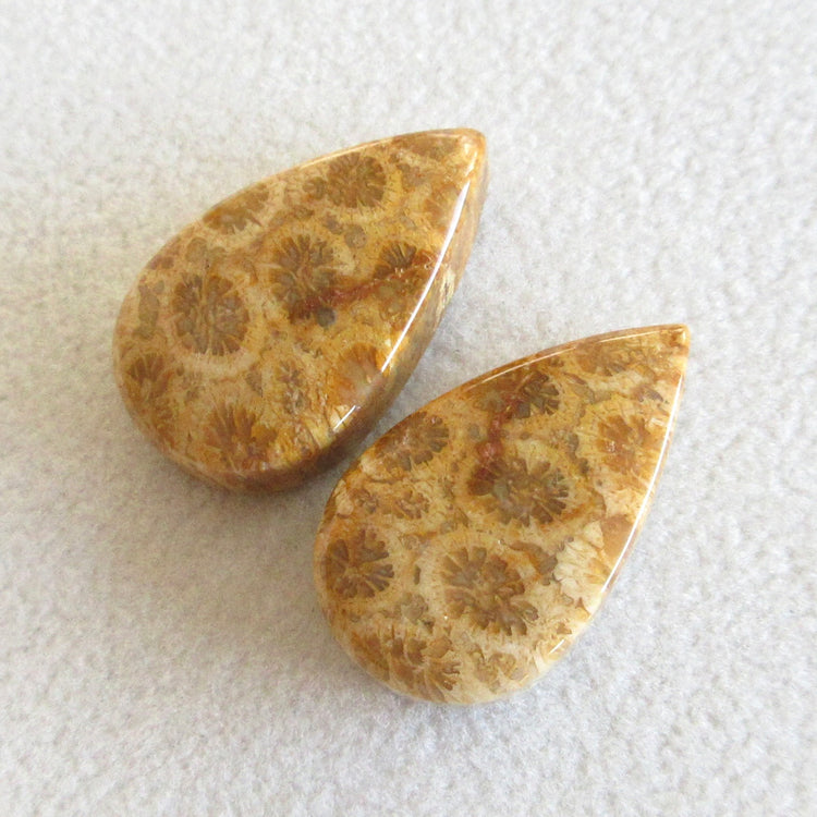 フォッシルコーラル 天然石ルースペア