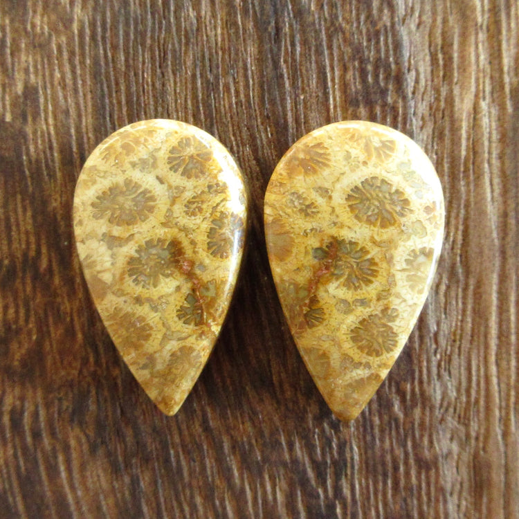 フォッシルコーラル 天然石ルースペア