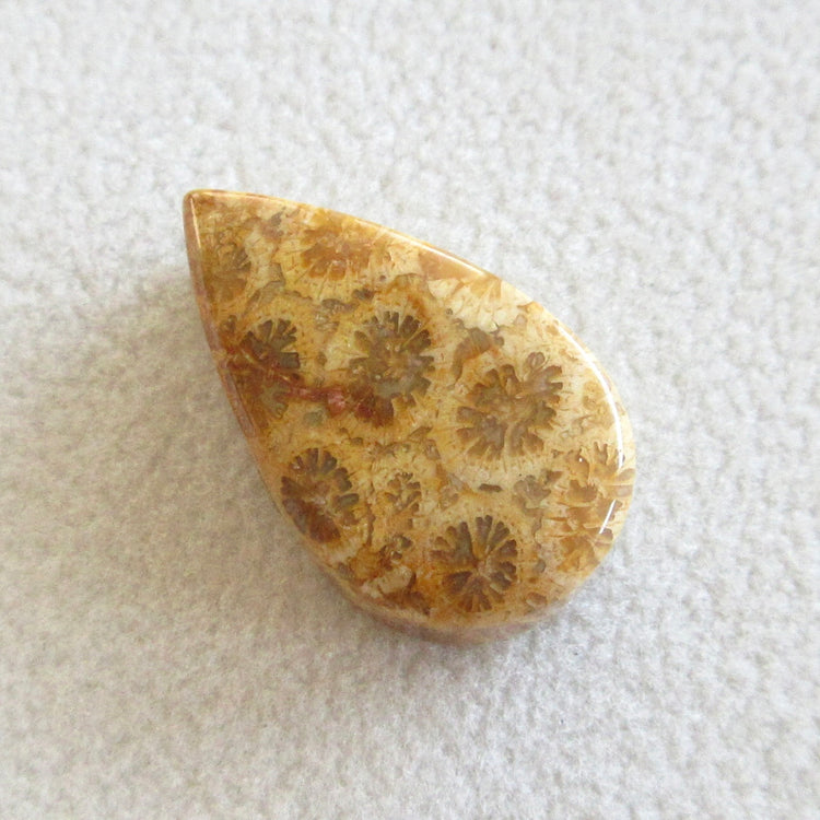 フォッシルコーラル 天然石ルースペア