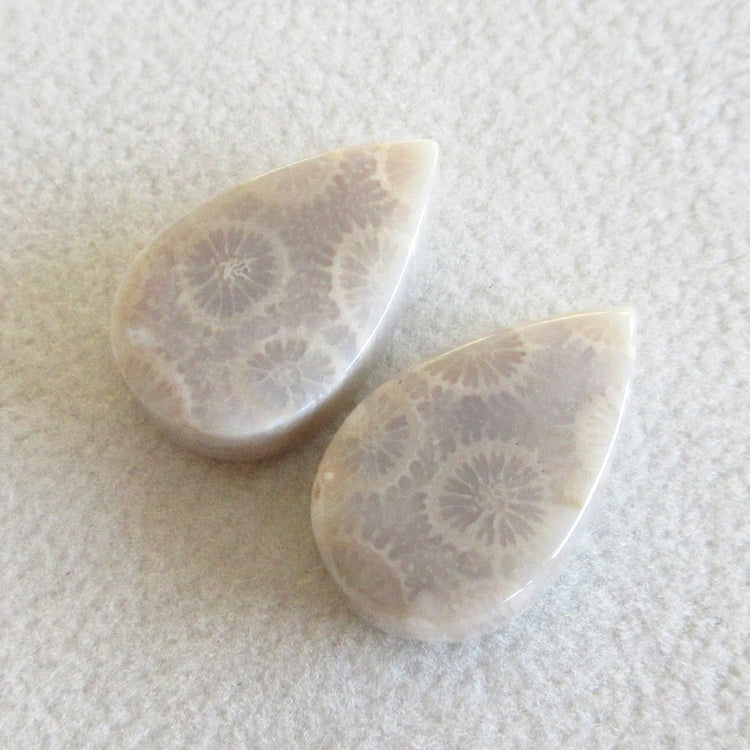 フォッシルコーラル 天然石ルースペア