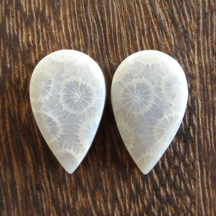 フォッシルコーラル 天然石ルースペア