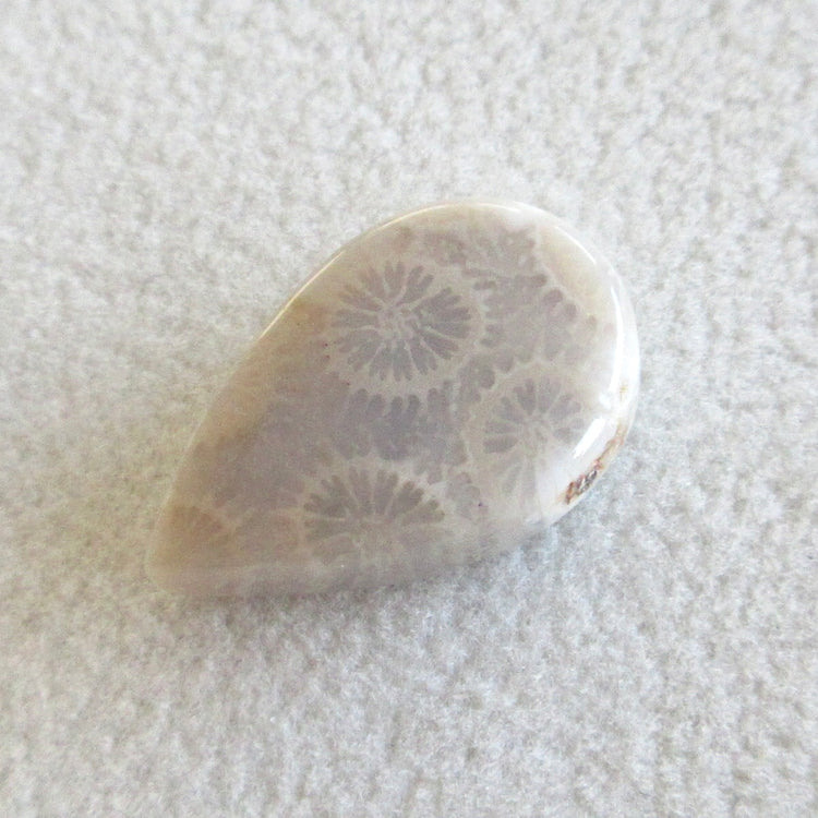 フォッシルコーラル 天然石ルースペア