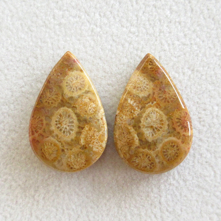 フォッシルコーラル 天然石ルースペア