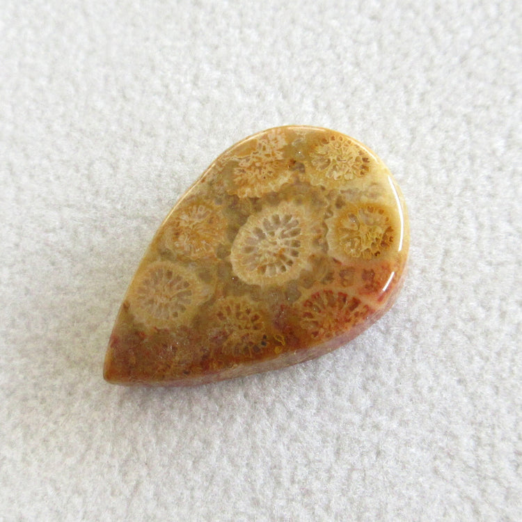 フォッシルコーラル 天然石ルースペア