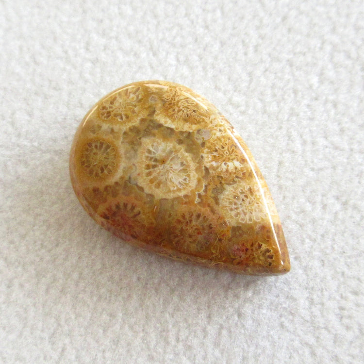 フォッシルコーラル 天然石ルースペア