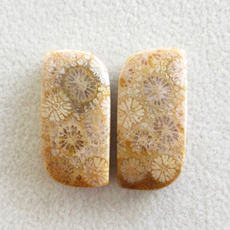 フォッシルコーラル 天然石ルースペア