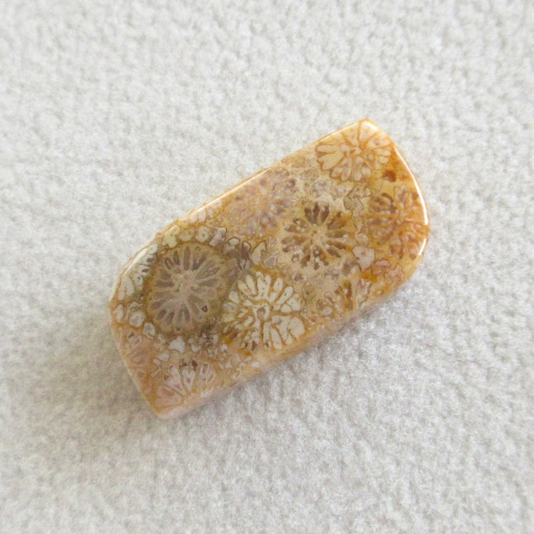 フォッシルコーラル 天然石ルースペア