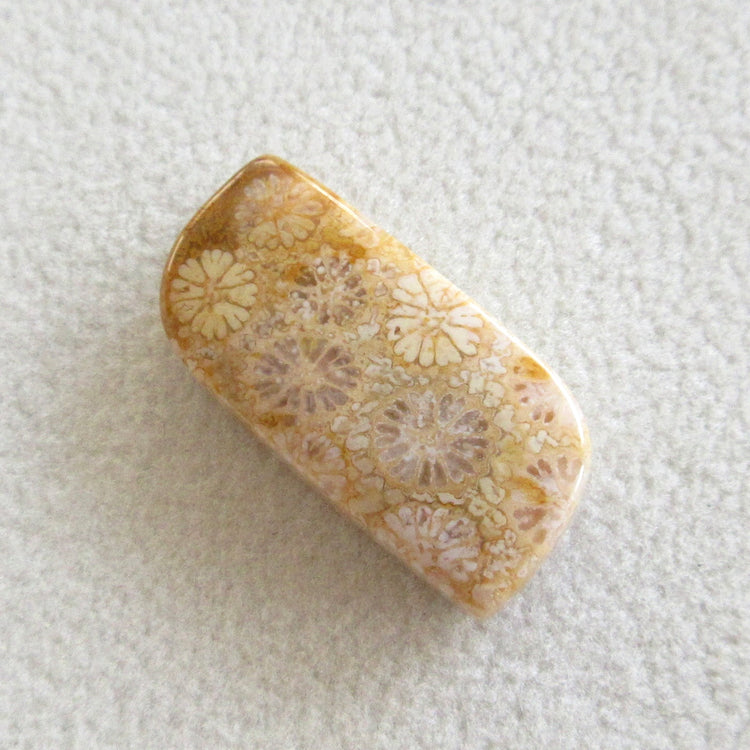 フォッシルコーラル 天然石ルースペア