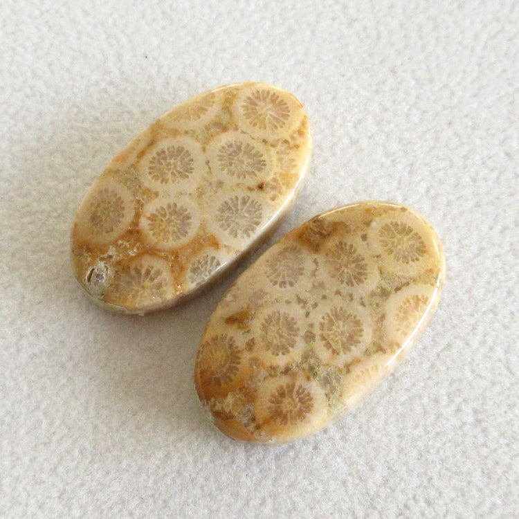 フォッシルコーラル 天然石ルースペア